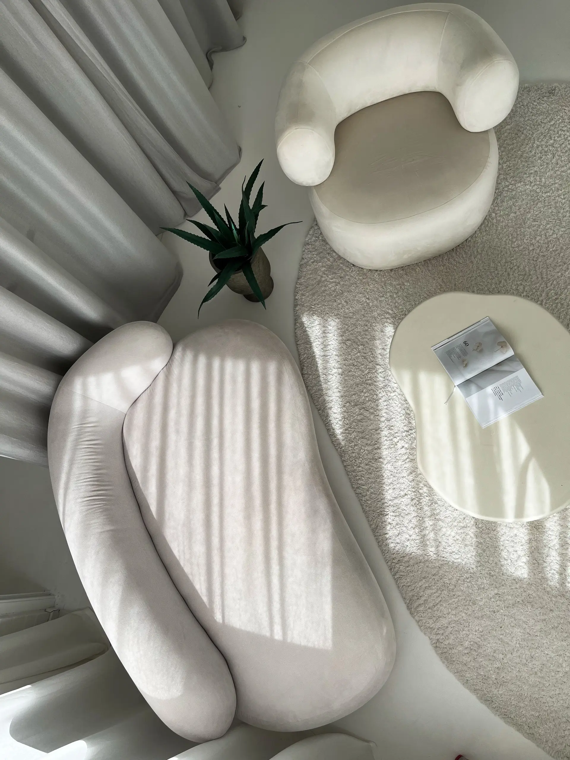 Bright minimalist Australian living room with soft curves and neutral tones