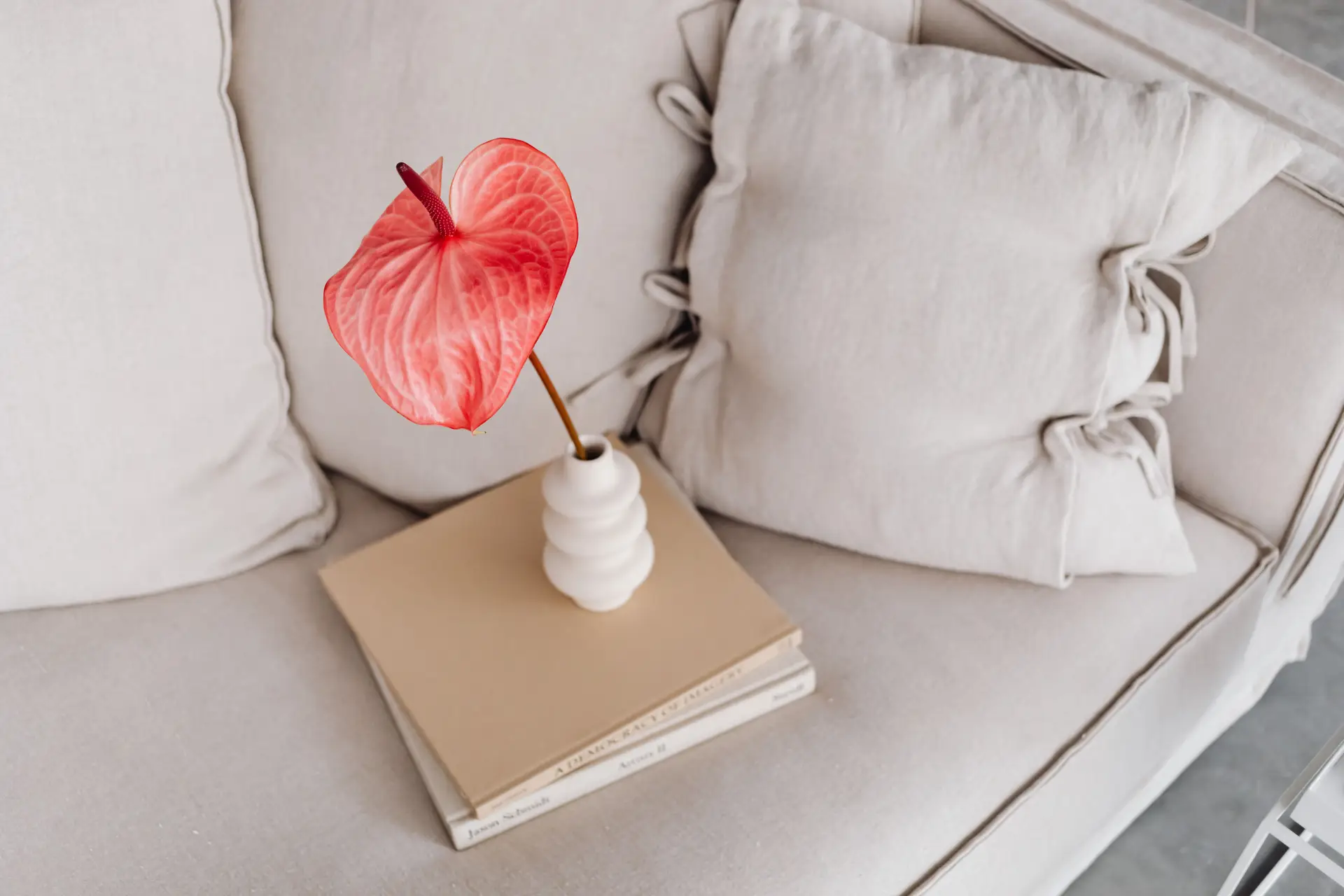 Minimalist living room detail